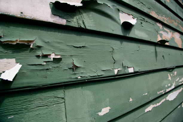 Professional Siding Installation & Repair in Woodstock, VA